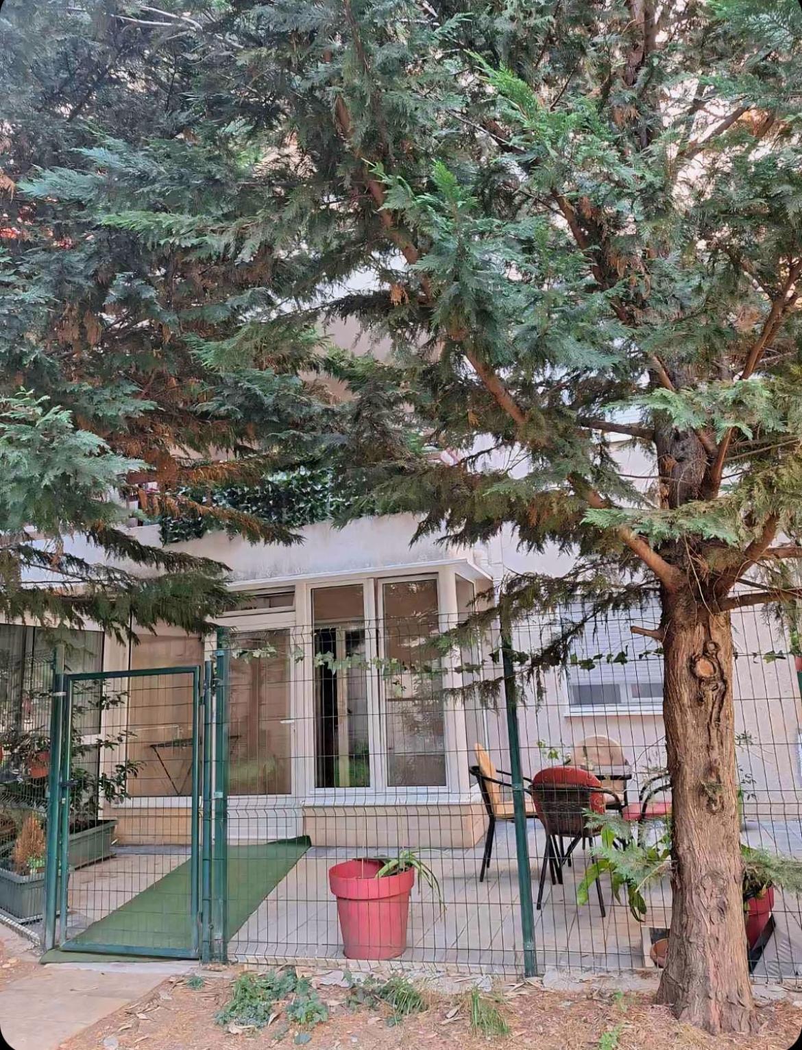 Apartments Vanja Budva Exterior photo